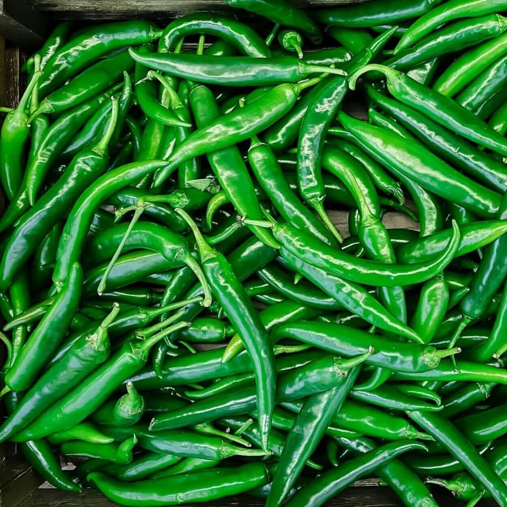 Green Chilli